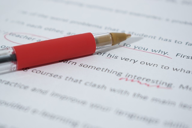 Your McKenzie Friend can help you improve the quality of your court paperwork